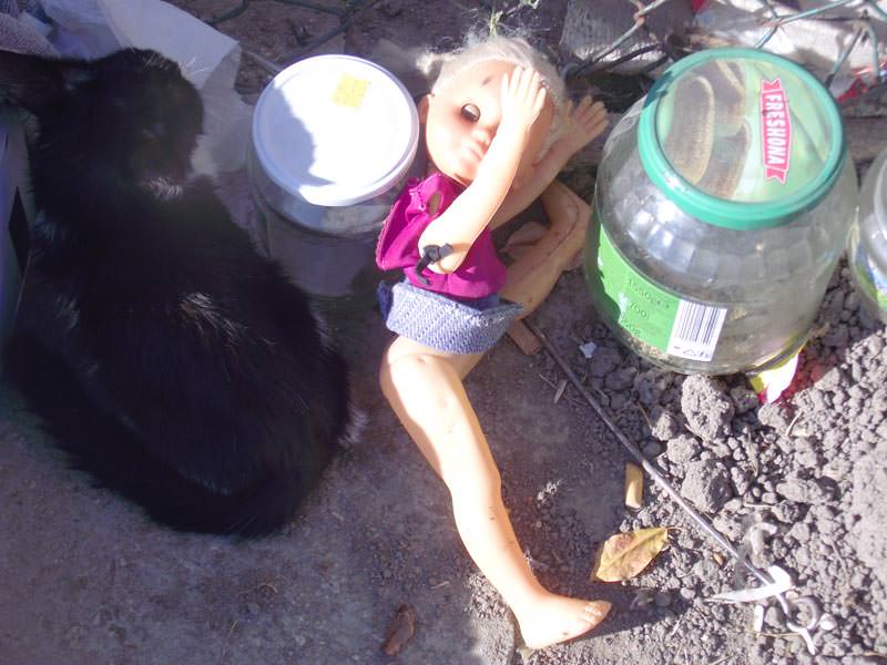 így segíthetsz nekünk